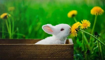 九游娱乐官方-国家队战术执行缺乏细节把控，国家队战术执行缺乏细节把控怎么办